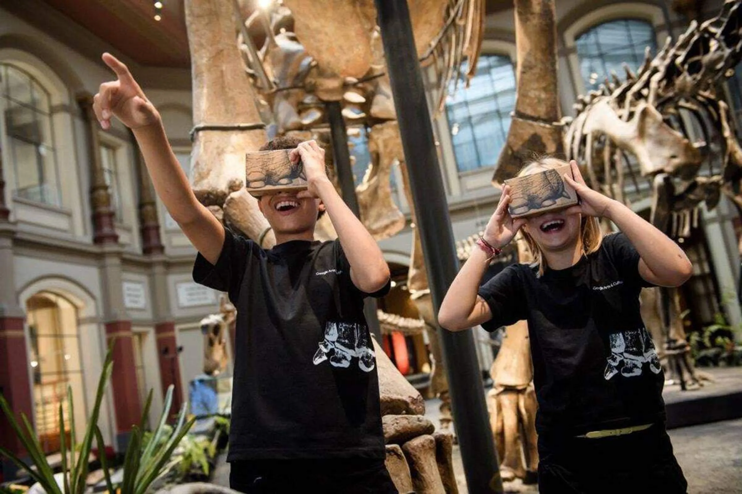 Multimediales Applikationslabor Naturkundemuseum